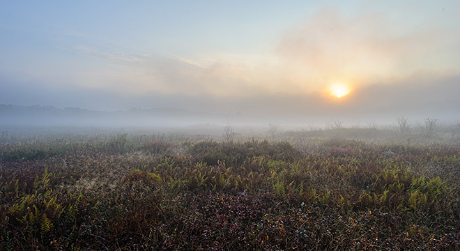 Shenandoah National Park