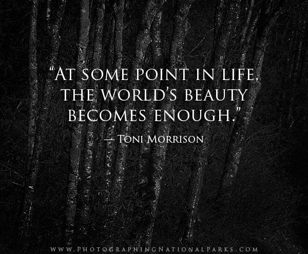 "At some point in life, the world's beauty becomes enough." — Toni Morrison
