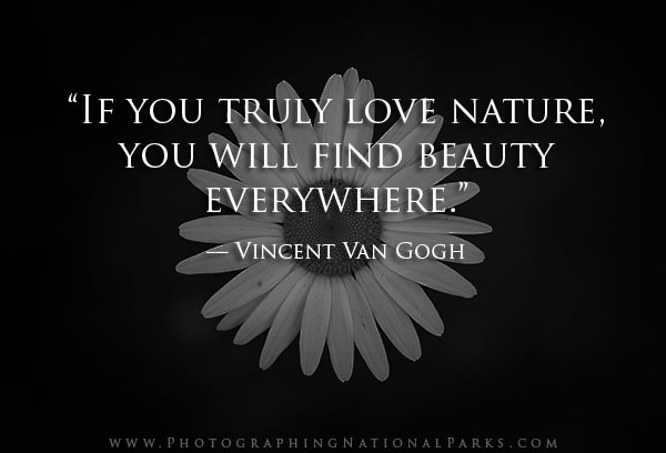 “If you truly love nature, you will find beauty everywhere.” — Vincent Van Gogh