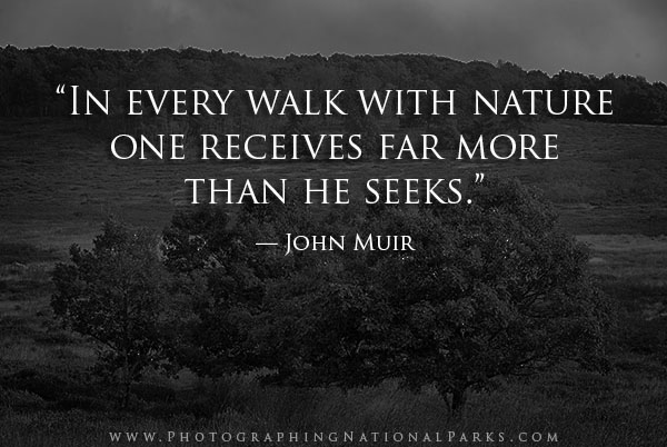 “In every walk with nature one receives far more than he seeks.” — John Muir