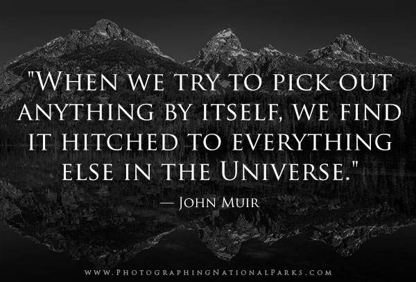"When we try to pick out anything by itself, we find it hitched to everything else in the universe.” — John Muir