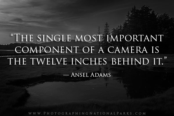 “The single most important component of a camera is the twelve inches behind it.” — Ansel Adams