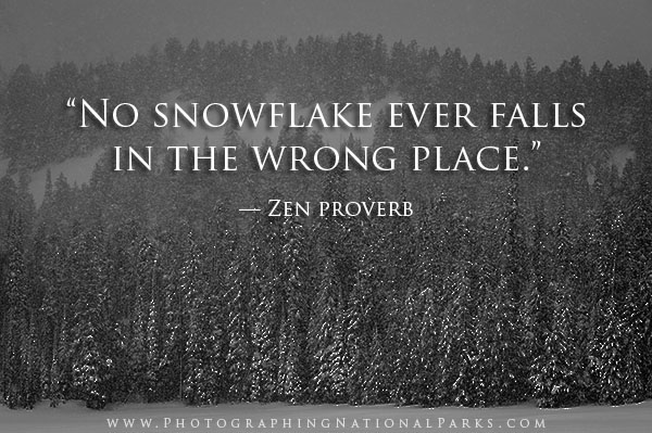 "No snowflake ever falls in the wrong place." — Zen Proverb