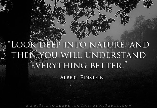 "Look deep into nature, and you will understand everything better." — Albert Einstein