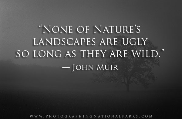 “None of Nature’s landscapes are ugly so long as they are wild.” — John Muir