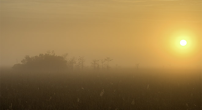Everglades National Park