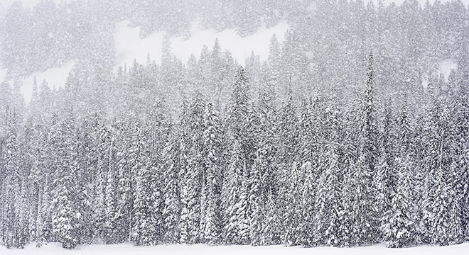 Grand Teton Winter